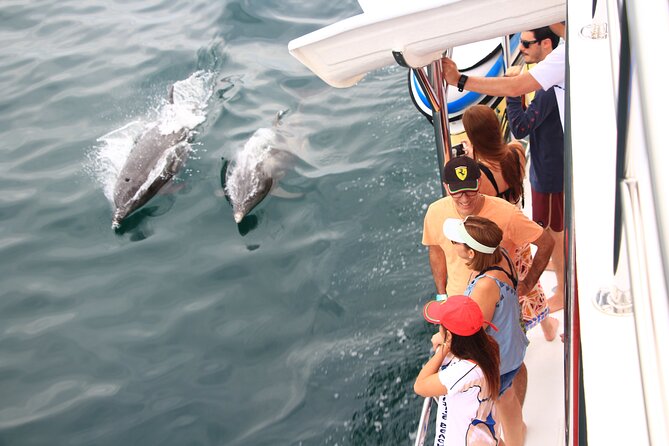 Whale Watching Experience All-Inclusive Adventure - Food and Drink Offerings