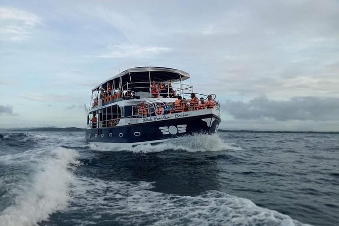 Whale Watching Experience in Mirissa - Included Amenities and Pickup