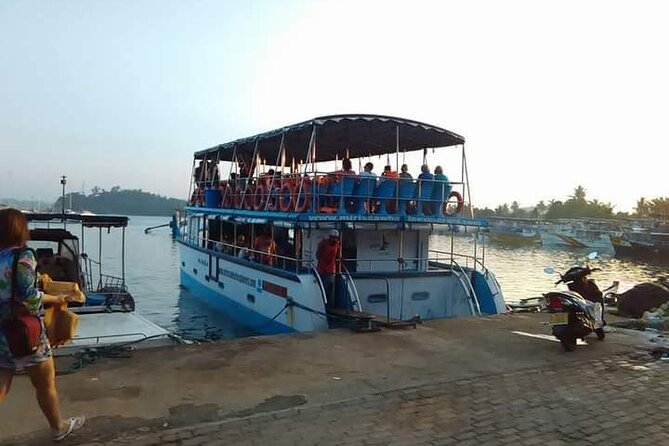 Whale Watching Experience in Mirissa - Experience Duration and Schedule