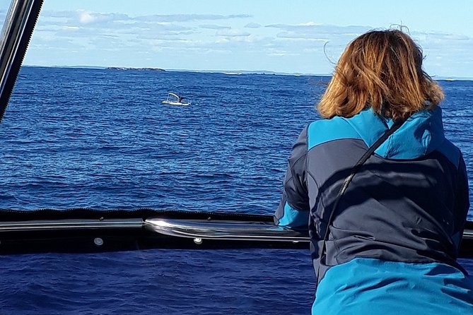 Whale Watching From Augusta in Western Australia - Additional Information and Booking