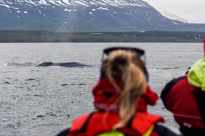 Whale Watching From Downtown Akureyri - Accessibility Considerations