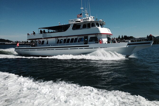 Whale Watching From Friday Harbor - Tour Inclusions and Pricing