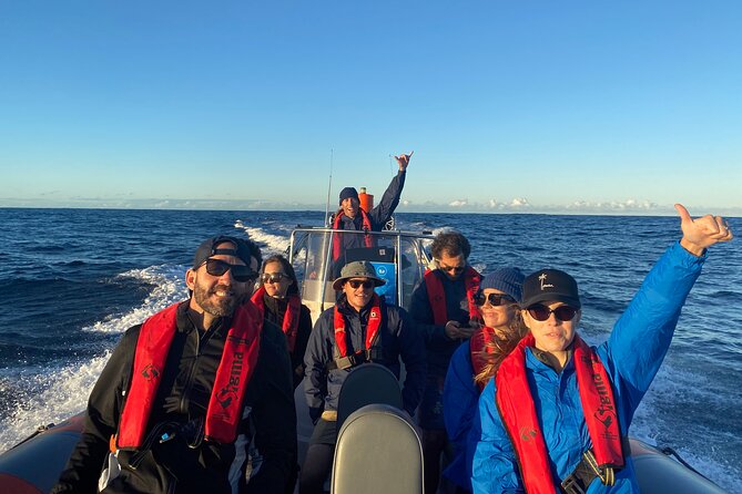 Whale Watching Gold Coast - Customer Reviews and Ratings