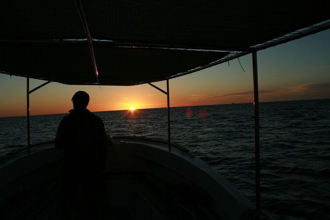 Whale Watching Group Tour in San Jose Del Cabo - Booking and Confirmation