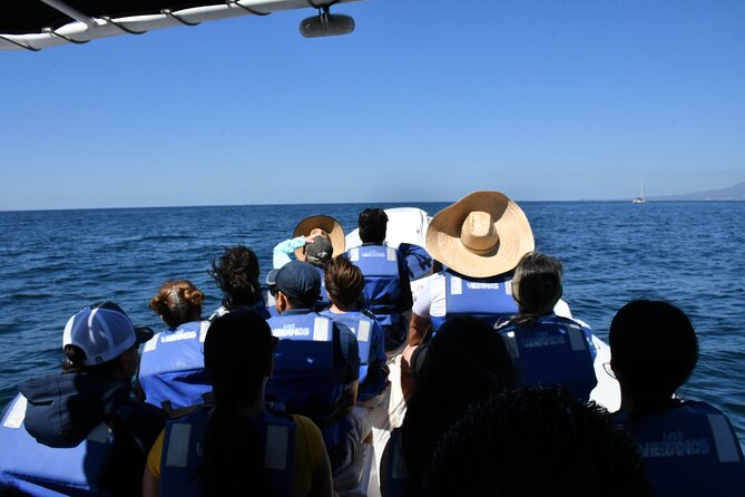 Whale Watching Guaranteed Experience in Puerto Vallarta - Whale Sightings and Expert Commentary