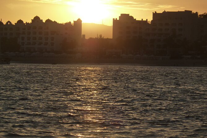 Whale Watching in Cabo San Lucas on Board Our Luxury Trimaran! - Seasonal Migration and Timing