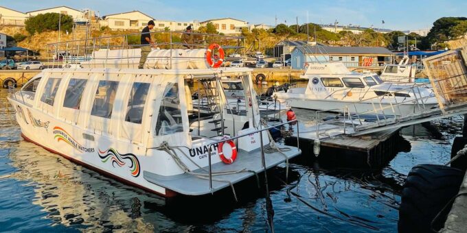 Whale Watching in Hermanus Shared Tour - Frequently Asked Questions