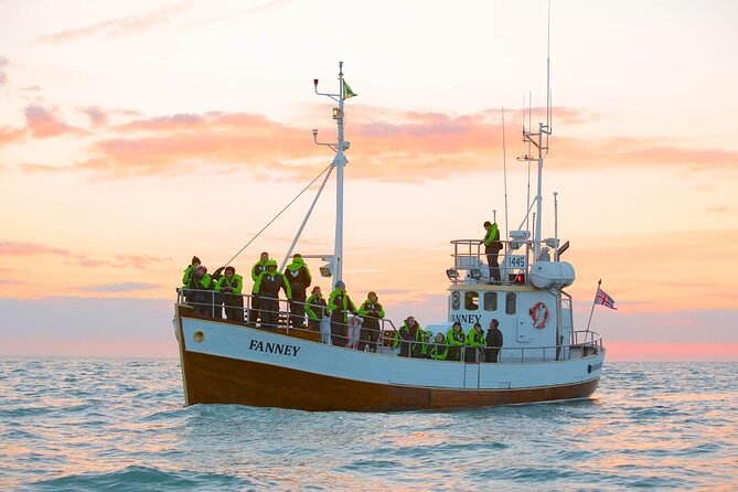 Whale Watching in Husavik - Warm, Weatherproof Gear