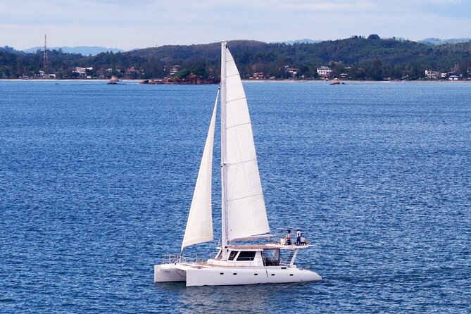 Whale Watching in Mirissa by Catamaran Cruise - Inclusions and Activities