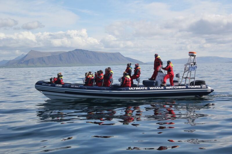 Whale Watching in Reykjavik by Speedboat - Inclusions and Exclusions
