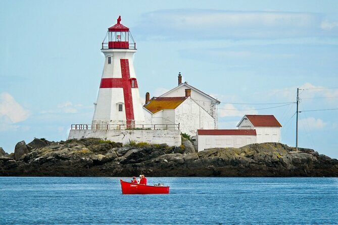 Whale Watching in Saint Andrews (NB) with Private Car Tour - Setting the Stage: What to Expect