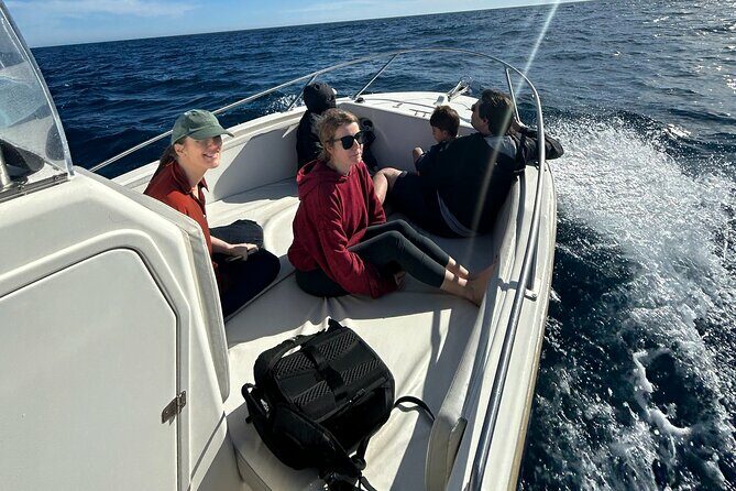 Whale Watching in San Jose del Cabo - FAQ