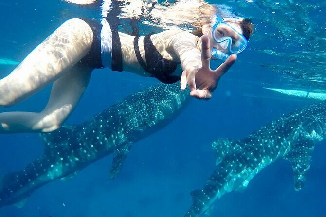 Whale Watching in Sumilon Island with Ocean View Resort and Lunch - Why This Tour Delivers Value