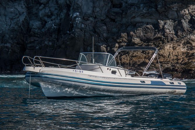 Whale Watching in Tenerife - Transportation and Accessibility