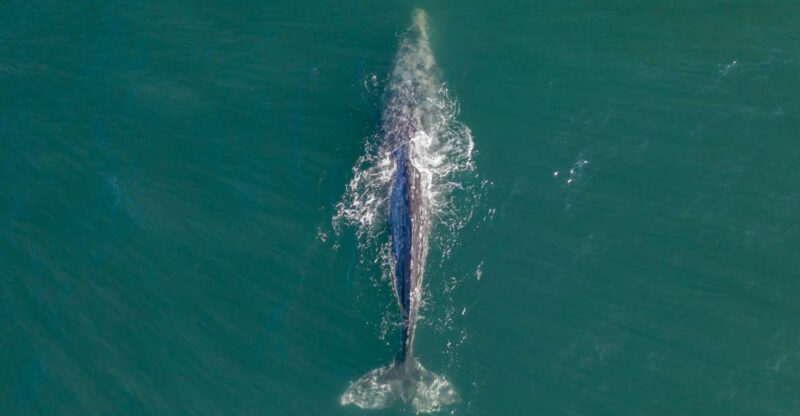 Whale Watching in Trincomalee - Location Highlights