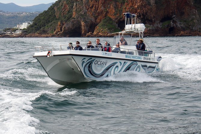 Whale Watching Knysna - Close Encounter Experience Ocean Odyssey - Inclusions and Important Information