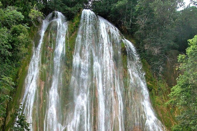 Whale Watching & Limón Waterfall Day Trip - Activity Highlights