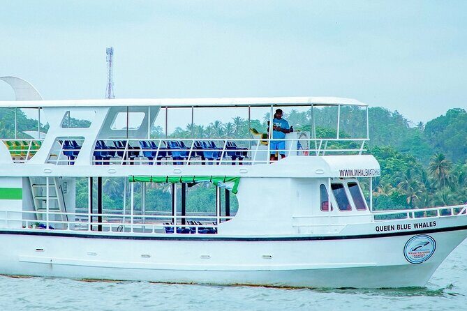 Whale Watching Mirissa Ultimate Tour in Sri Lanka with Breakfast - Introduction: A Closer Look at the Mirissa Whale Watching Experience
