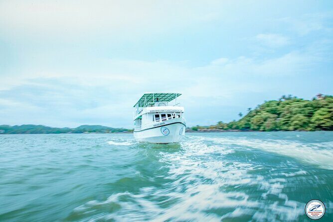 Whale Watching Mirissa Ultimate Tour in Sri Lanka with Breakfast - Key Points