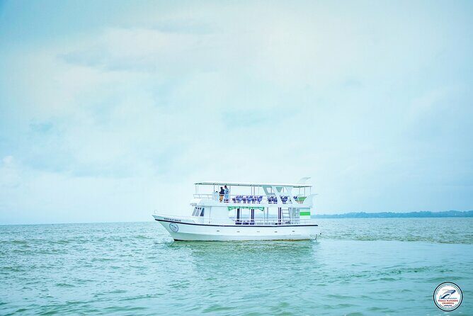 Whale Watching Mirissa Ultimate Tour in Sri Lanka with Breakfast - Why This Tour Is Worth Considering