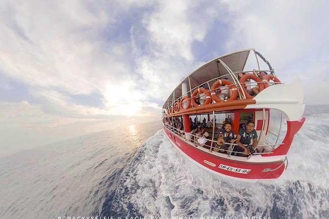 Whale Watching Mirissa With Eagle Eye - Customer Experiences and Feedback