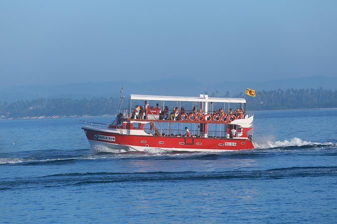 Whale Watching Mirissa With Eagle Eye - Trimaran Tour in Mirissa