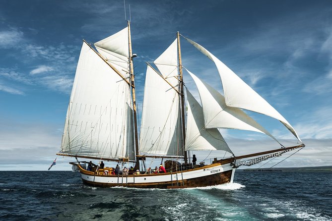 Whale Watching on a Traditional Oak Sailing Ship From Husavik - Booking and Availability