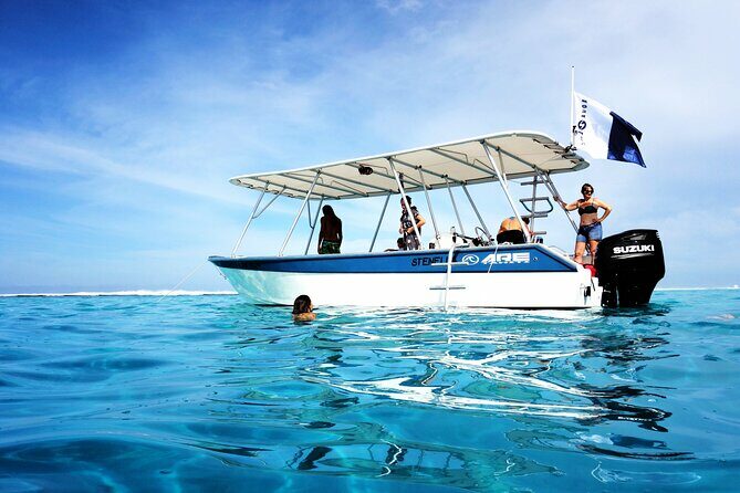 Whale watching on the preserved and quiet coast of Paea (Pk26) - Authentic Experiences and Genuine Encounters