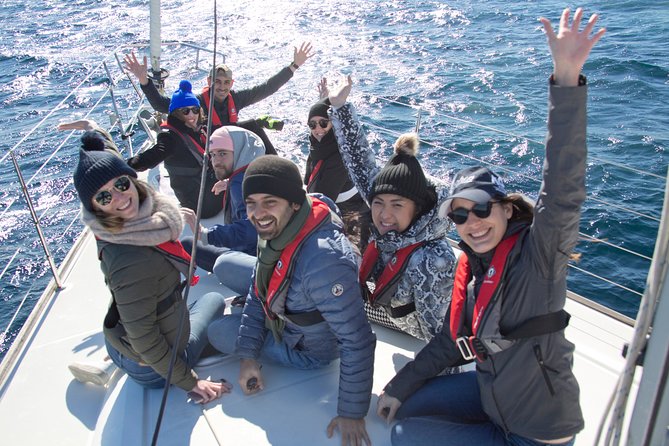 Whale Watching Sailing Experience in Sydney - Customer Reviews