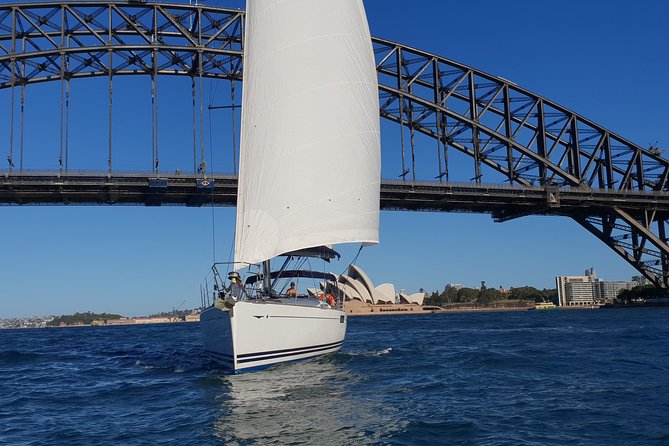 Whale Watching Sailing Experience in Sydney - Highlights of the Tour