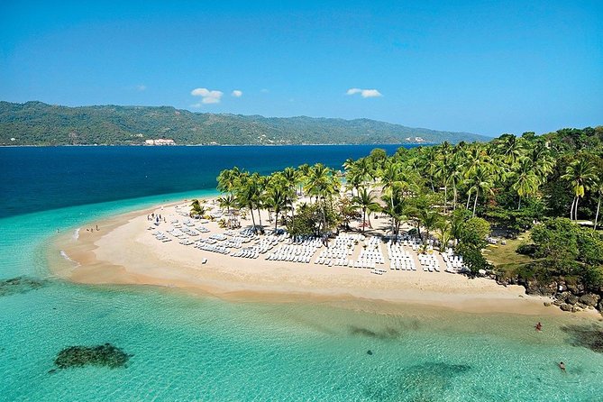 Whale Watching & Samana Bacardi Island - Reviews and Feedback
