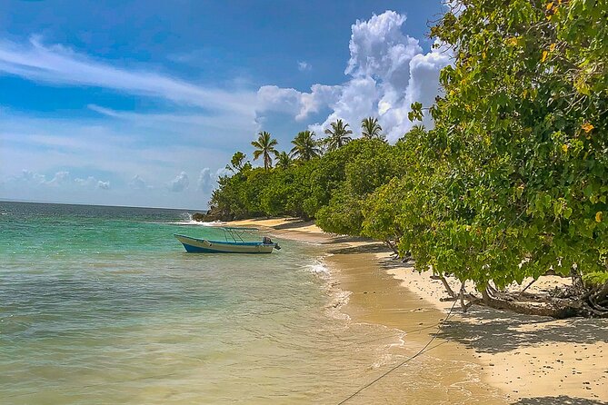 Whale Watching & Samana Bacardi Island - Questions About Your Stay