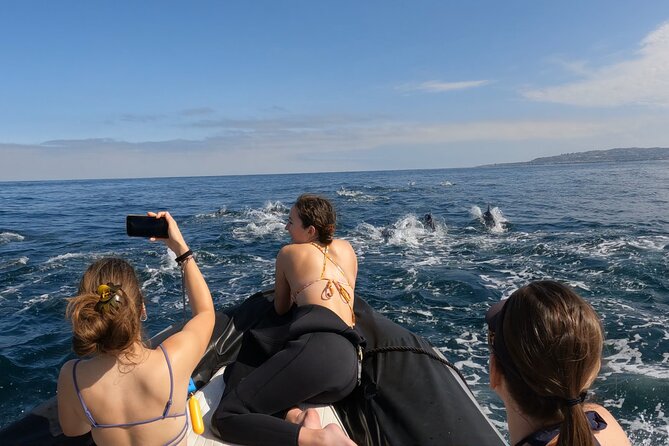 Whale Watching San Diego: Private Charter Experience - Additional Details