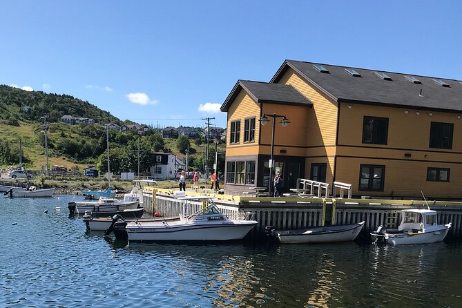 Whale Watching, Shark and Cod Fishing, From St. Johns Harbor - Shark Fishing Adventure