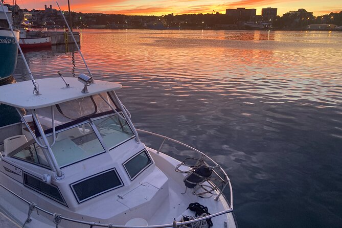 Whale Watching, Shark and Cod Fishing, From St. Johns Harbor - Whats Included