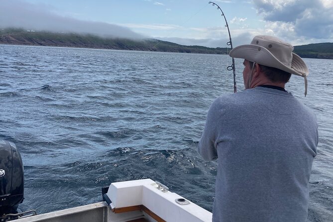 Whale Watching, Shark and Cod Fishing, From St. Johns Harbor - Meeting Point and Directions