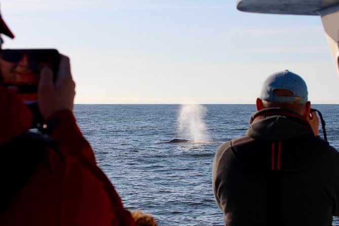 Whale Watching & Sightseeing Tour in Ucluelet, Vancouver Island - Wildlife Sightings