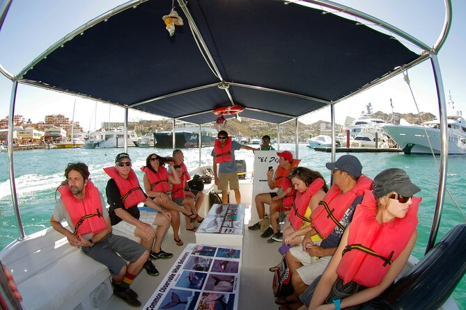 Whale Watching Snorkel Combo - Booking and Cancellation Policies