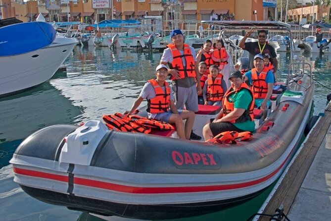 Whale Watching Snorkel Combo - Snorkeling Experience Highlights