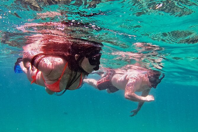 Whale Watching & Snorkeling Combo in Los Cabos With Photos Included - Inclusions and Amenities