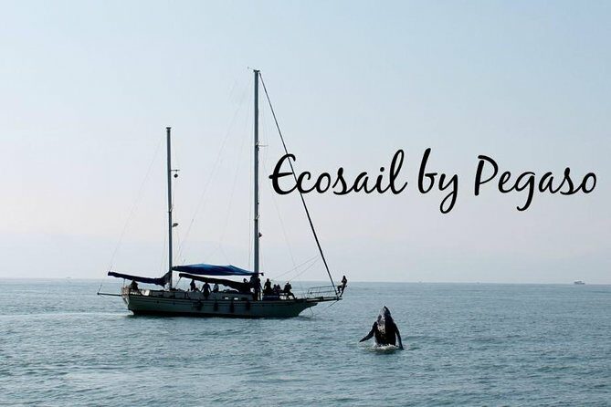 Whale Watching The Best Of Puerto Vallarta - Who Would Enjoy This Tour Most?