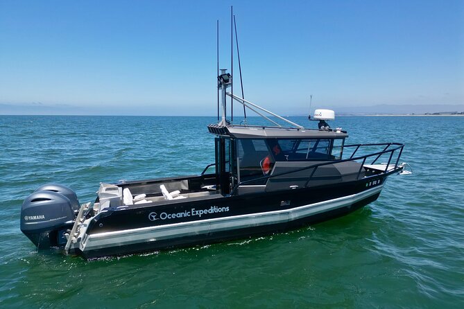 Whale Watching Tour - Key Points