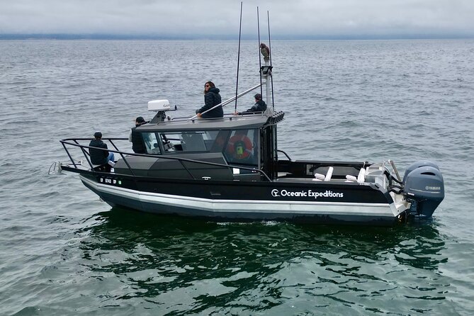Whale Watching Tour - Meeting and Pickup Details