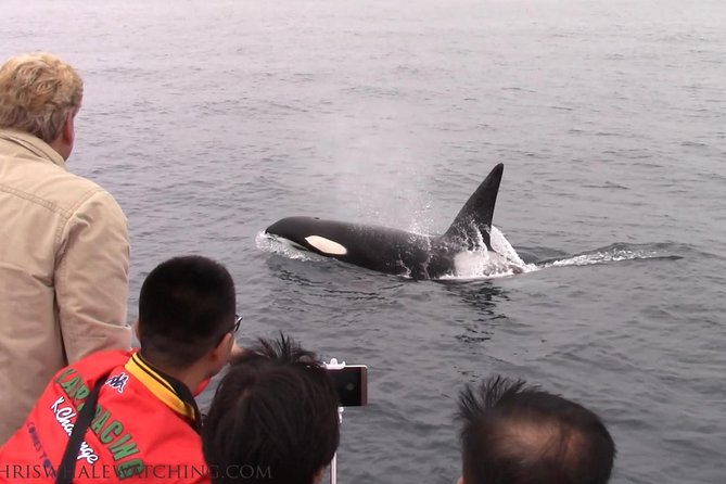 Whale Watching Tour - Cancellation Policy
