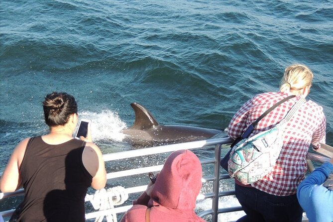Whale Watching Tour From Anacortes - Traveler Reviews and Feedback