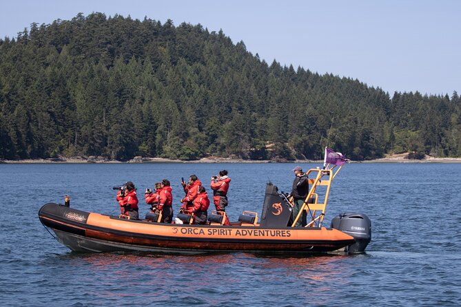 Whale Watching Tour in a Zodiac Boat in Victoria - Tour Logistics and Requirements