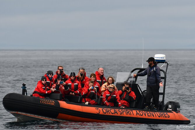 Whale Watching Tour in a Zodiac Boat in Victoria - Survival Suit Provided for Comfort