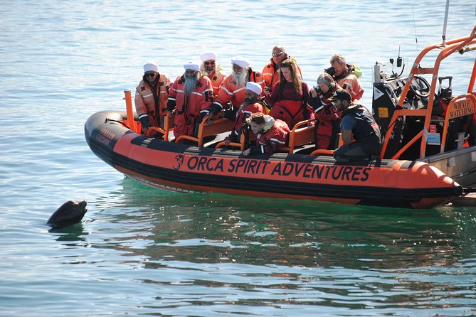 Whale Watching Tour in a Zodiac Boat in Victoria - Meeting Point and Pickup Location