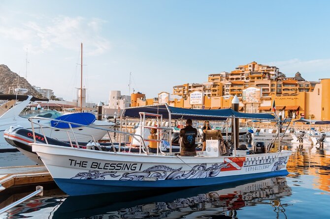 Whale Watching Tour in Cabo San Lucas - Included in the Tour