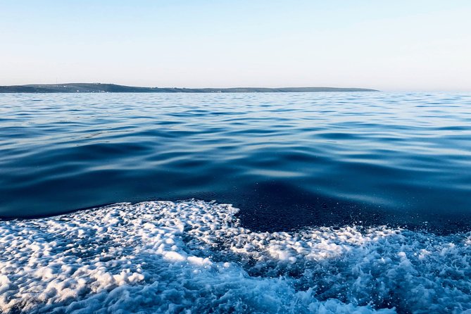 Whale Watching Tour in Hermanus With Hotel Pickup - Booking Information